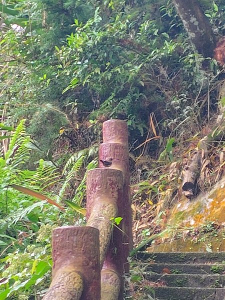 鳳鳴古道 鳳鳴山 南隘勇（南長城）古道 三湖山 八達嶺（龍骨）古道 綠色古道 延平古道2975277