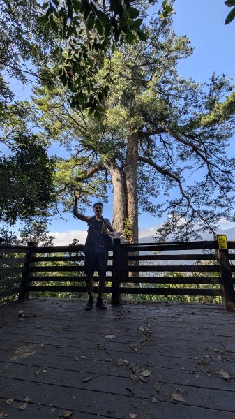 【中級山】五星級步道，谷關七雄馬崙山3012193