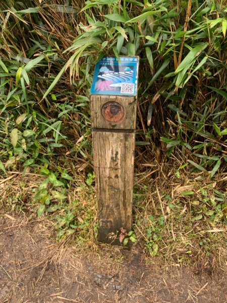 七星山（小百岳）830154