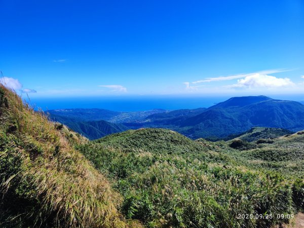 七星山二進2894957