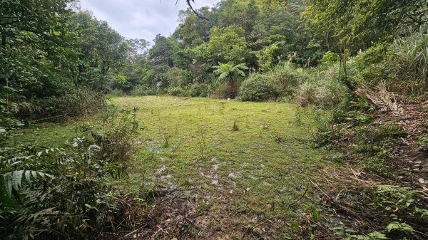 20260316艋舺崙古道-新路尾山-大竹林山3018617