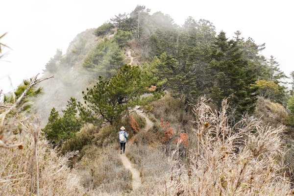 郡大山封面