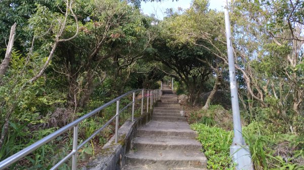 鯉魚山+忠勇山+大崙頭尾山+圓覺寺步道519544