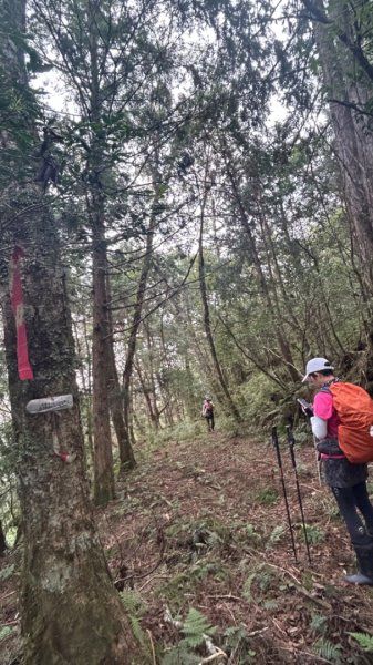 太平山運材軌道見晴線2588848