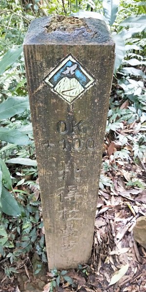 內鳥嘴山，北得拉曼神木群步道，瀑布初體驗1062591