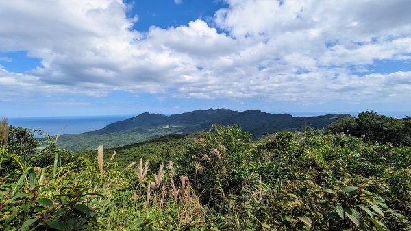 龜媽坑古道,雪山尾稜南段,草嶺古道2354632