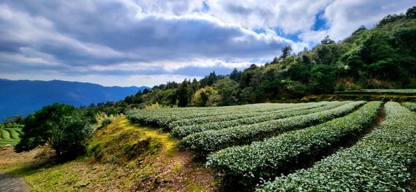 皇帝殿，獅公髻尾山，指南宮千階步道（竹柏參道），十六分山，貓空尖，絹絲瀑布步道1971353