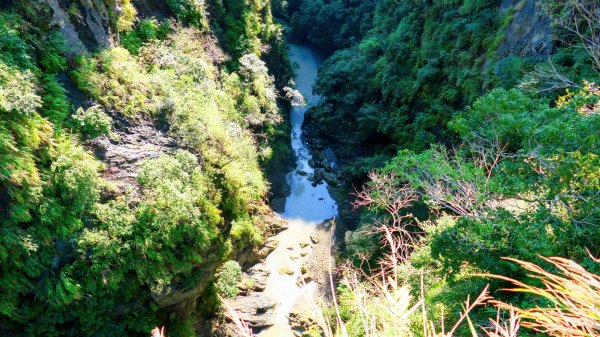 洄瀾東海岸3006634