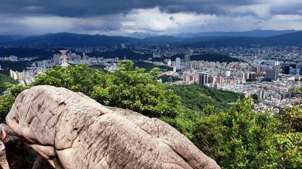 內湖金面山，論劍山，鶯歌蛋山，忠義山，長壽步道，桃園虎頭山公園1726409