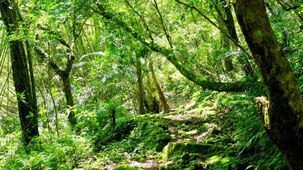 畝畝山。又上說2768161