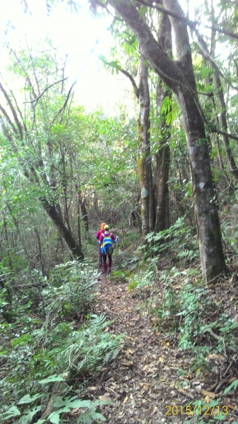 20151213尖石鄉屯野台山石麻達山28012