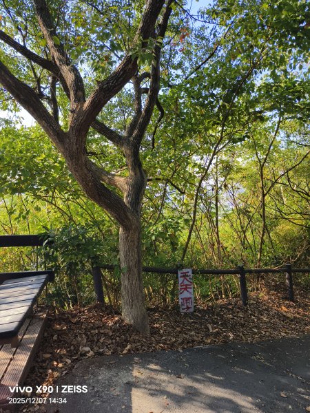 小崗山2025-12-072957825