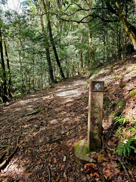 稍來山-小百岳#39-台中市和平區2654120