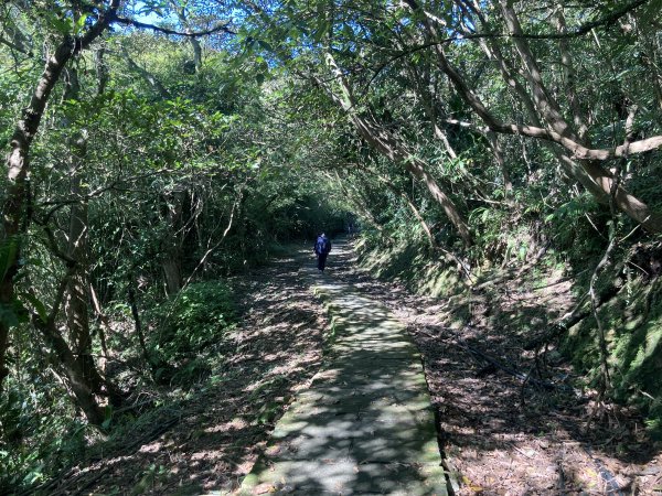 五分山登山步道2373499