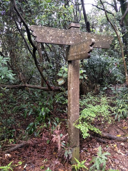 大崙頭山1299822