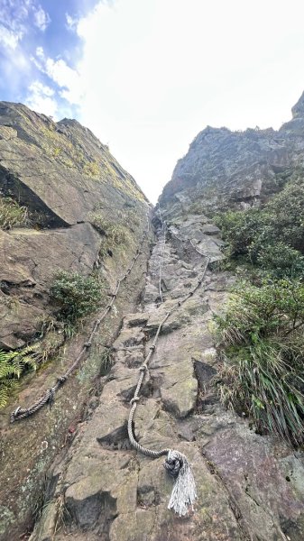 黃金三稜賞芒花2950876