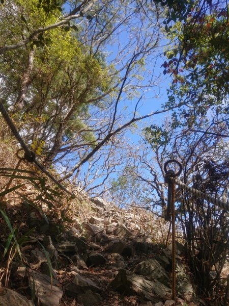 谷關七雄之四～波津加山1281726