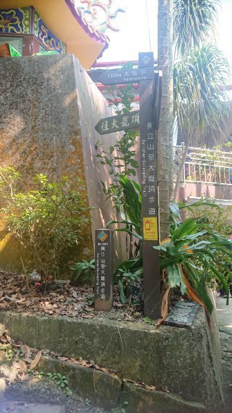 20210228獨立山大籠頂步道1618521