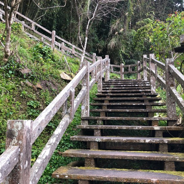 1090216奮起湖木馬古道、衫林步道840162