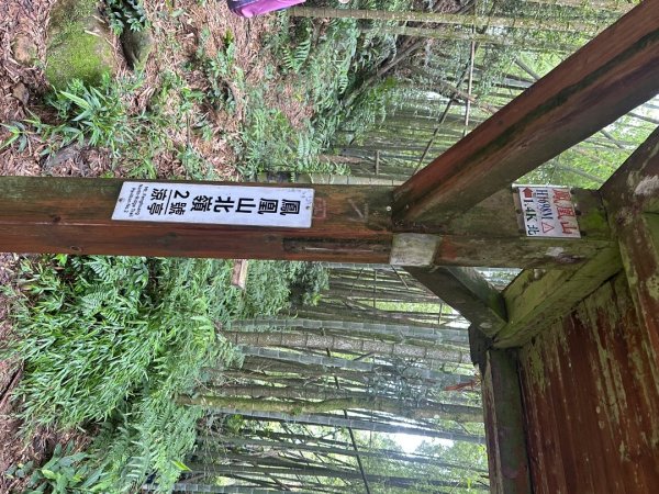 鳳凰山封面