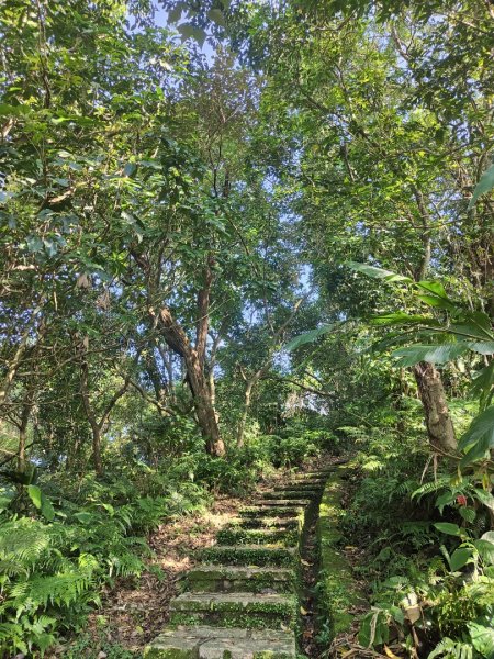 2023.12.08 土庫岳2695283