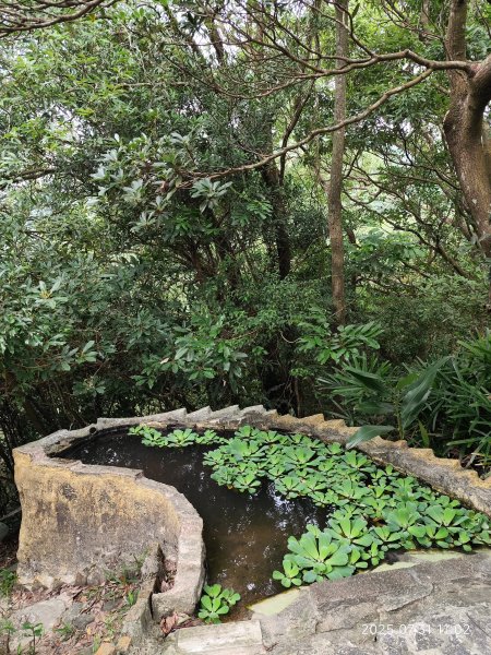 大湖公園→大溝溪生態治水園區→圓覺寺步道→圓覺瀑布→圓覺寺→鯉魚山步道【臺北大縱走 4、臺北健走趣】2849154