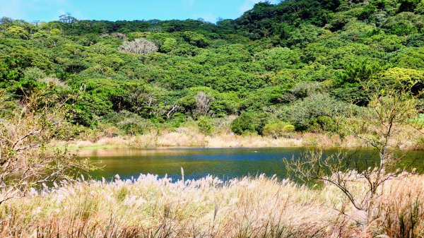 向天蝦不蝦2936812