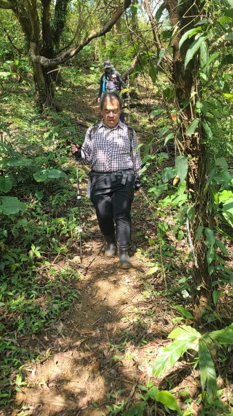 2025-0204 鶯歌_大凍山_三角埔頂山_迴龍2707878