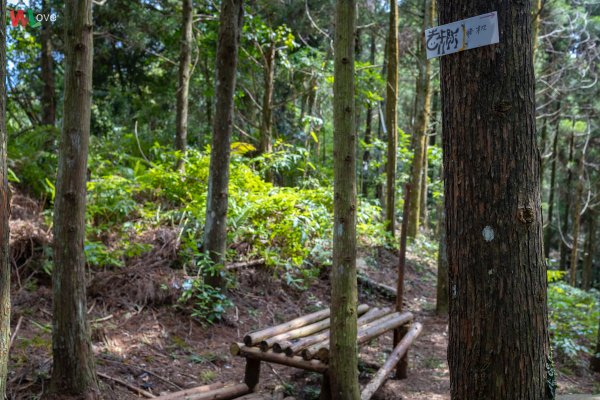 WL 愛旅行【向天湖山】653612