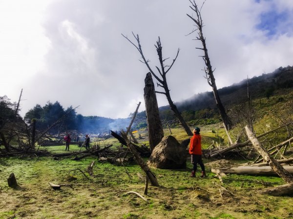 [百岳] 小關山林道上小關山