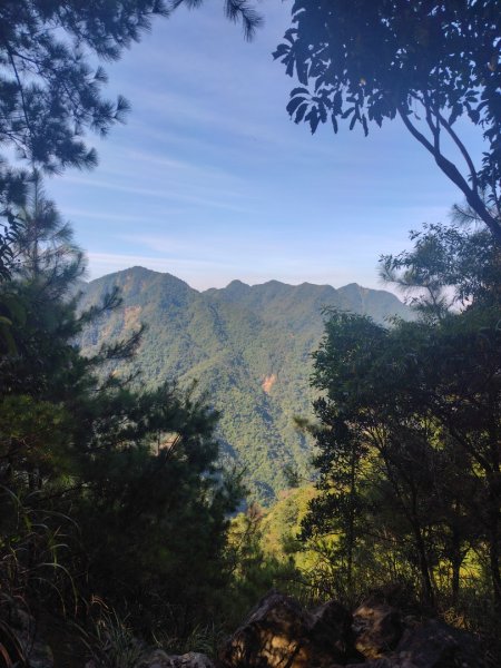 唐麻丹山 蝴蝶谷2918954