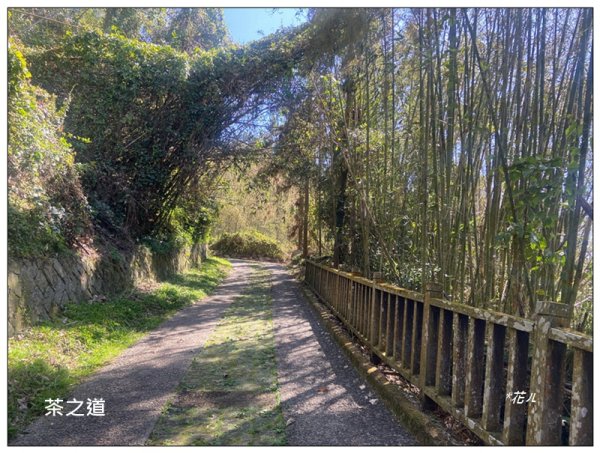 頂石棹步道群、樂野山、霹靂山 d型路線2749161