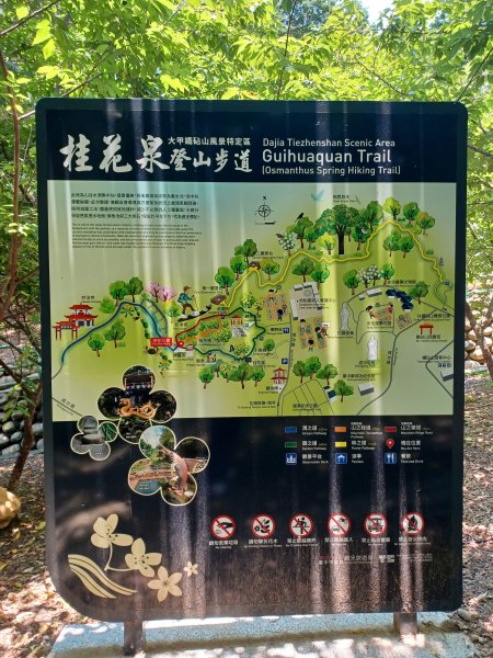 【台中大甲】規劃完善的親民步道。 桂花泉登山步道2862463