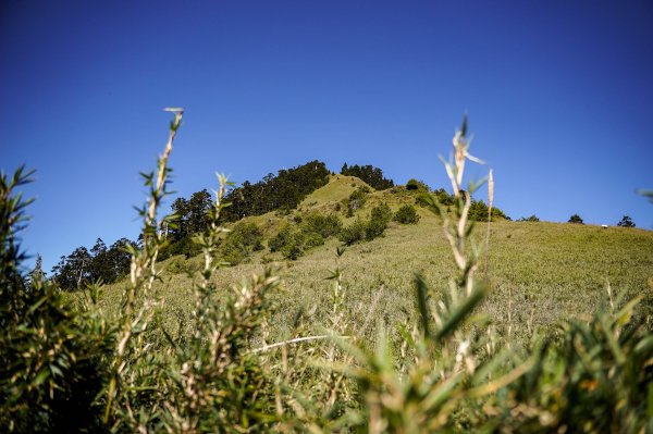 志佳陽大山2906152