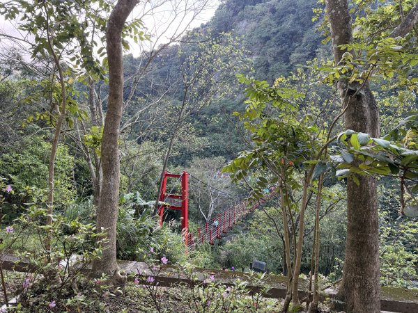 [淡蘭古道] 2026_0315 南路第二段_外按古道3016380