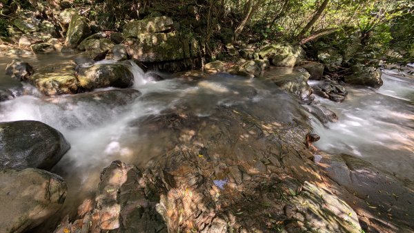 114.11.09草嶺古道芒花季之旅2932952