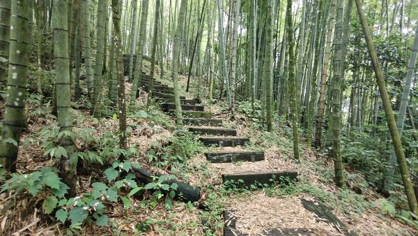 嘉義四大天王之四天王山與知鳥山2559370