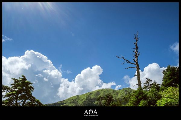 【奇萊南華】德國研究生的台灣百岳畢業旅行394792