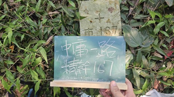 20260320永公廢棄水廠-永公路-小草山西南-1ICRT電台-中庸一路-中庸五路-新安路3022451