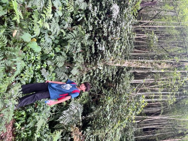 雲林小百岳-石壁山2850062