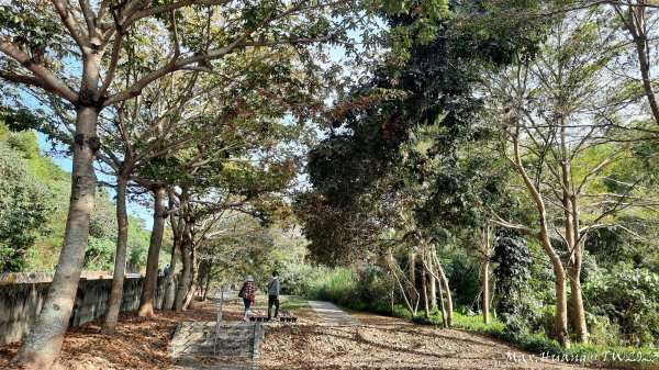 《彰化》登山市集｜員林臥龍坡環藤山步道202312162380595