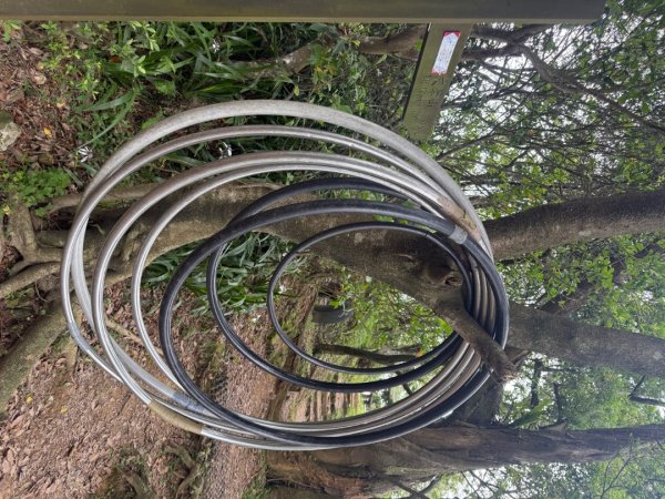 偷吃步之台北天際線第十段2777826