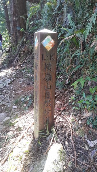 橫嶺山自然步道 2017 08 18156591