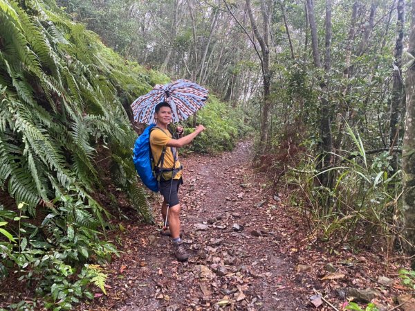 馬崙山.斯可巴步道【五星級的無限輪迴之字斜坡步道】1901073