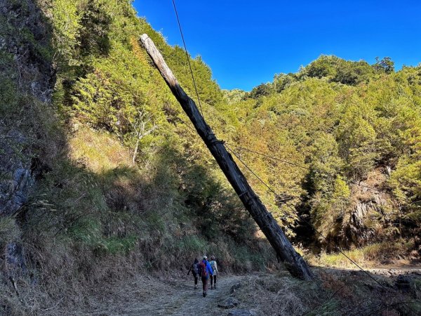 北三錐山 大雪山 200林道 賞楓行2373107