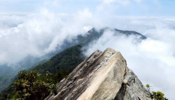 【中級山縱走】鳶嘴西稜縱走（鳶嘴山，醜崠山，長壽山）