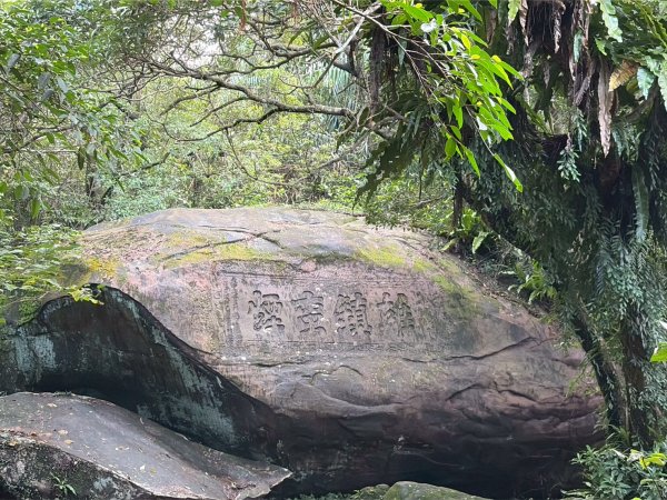 新北 貢寮 草嶺古道2955660