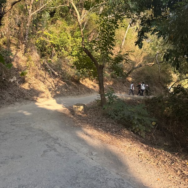 20260218 台中－臺灣百大必訪步道大坑9、10號步道3006436