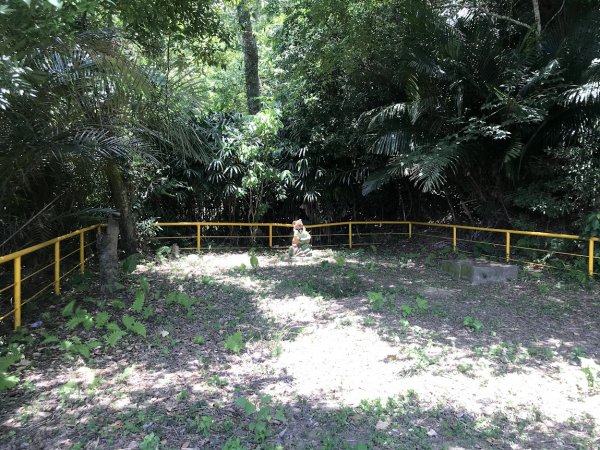 出磺坑步道_出磺坑紀念碑202006271965435