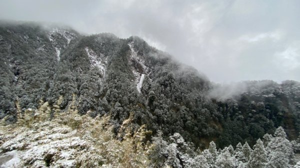 塔塔加-排雲山莊。驚喜滿分的糖霜雪景1565836